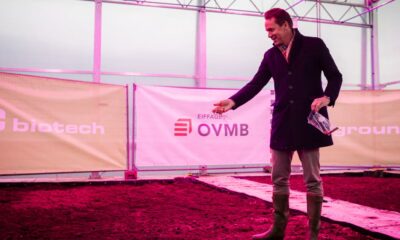 Cáñamo para combatir los PFAS en Gante