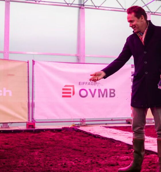 Cáñamo para combatir los PFAS en Gante