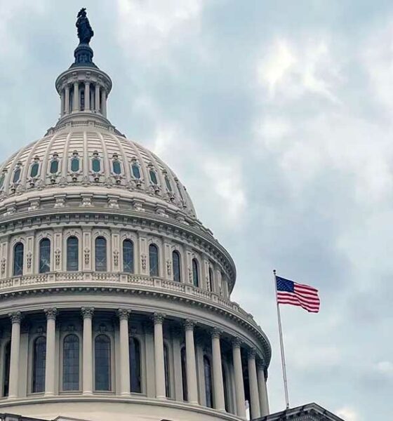 El Congreso de EE.UU. y la prohibición del THC del cáñamo