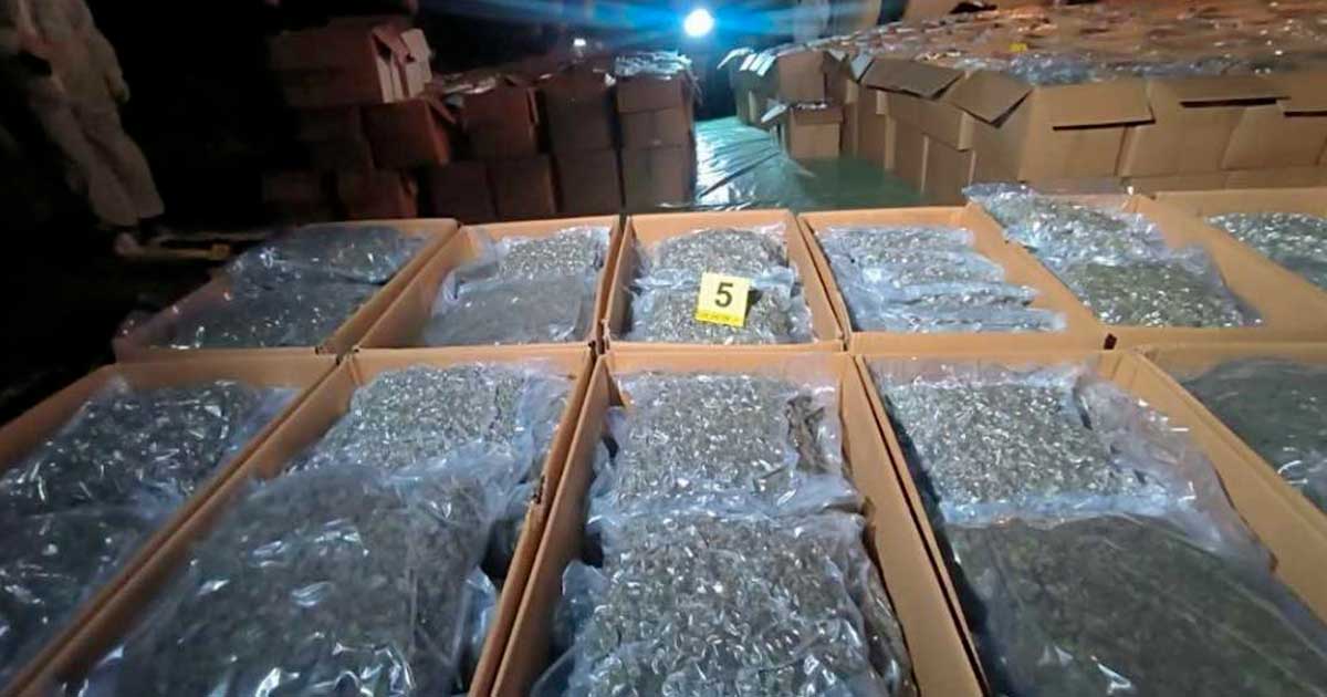 Incautaciones de cannabis medicinal en el norte de Macedonia