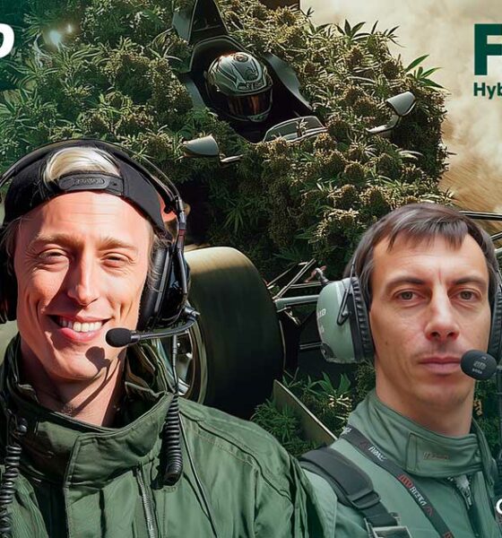 Híbrido F1 de Royal Queen Seeds