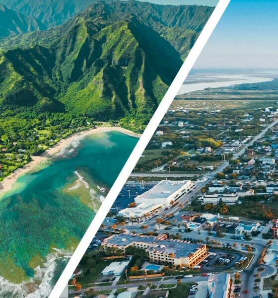 Legalización del cannabis en Florida y Hawai