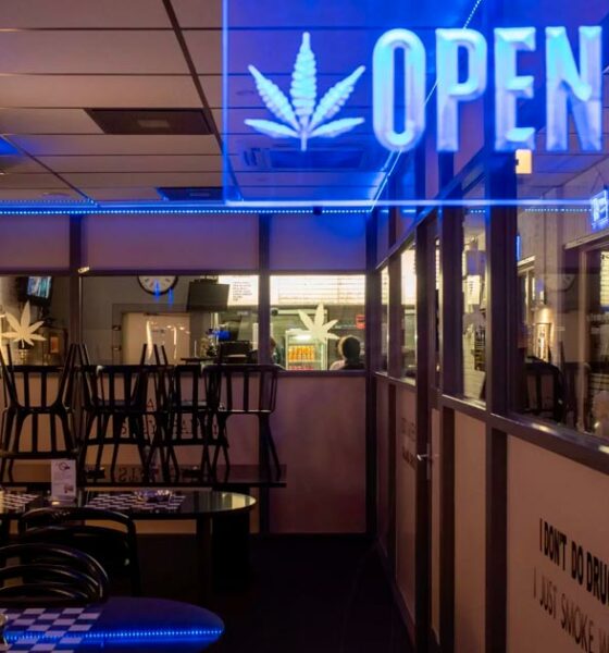 Legalización total del cannabis en Alemania