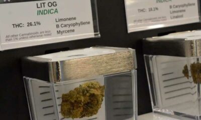 Venta pública de cannabis en Minnesota