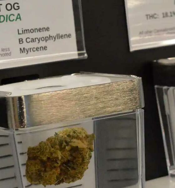 Venta pública de cannabis en Minnesota