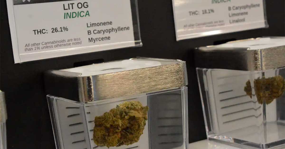 Venta pública de cannabis en Minnesota