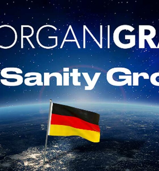 Organigrama y cordura