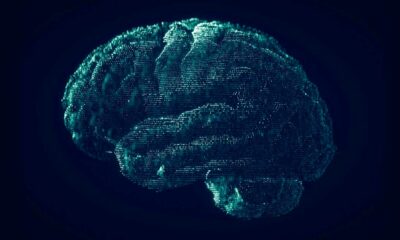 El THC y la enfermedad de Alzheimer