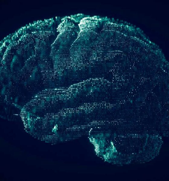 El THC y la enfermedad de Alzheimer
