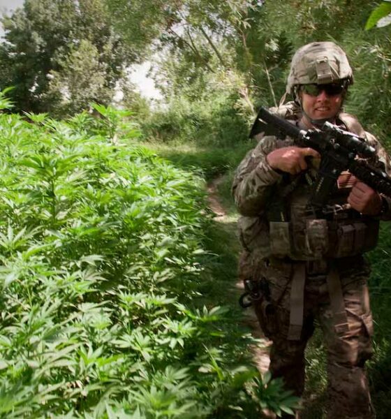 El ejército estadounidense y el cannabis