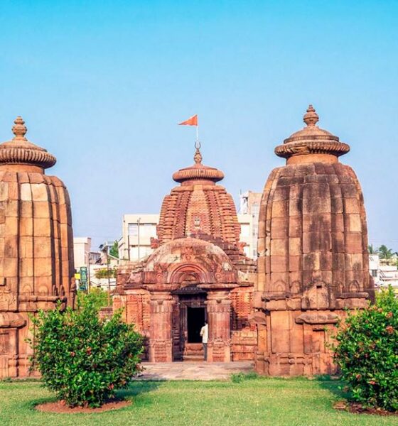 Investigación sobre el cannabis en la India