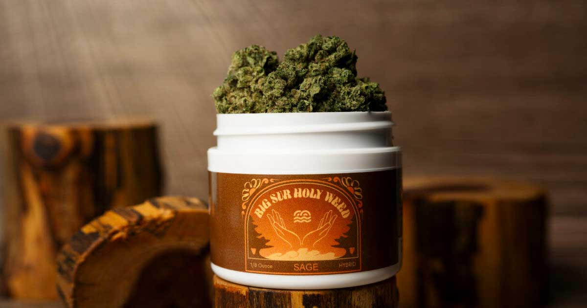 Hierba sagrada del Big Sur