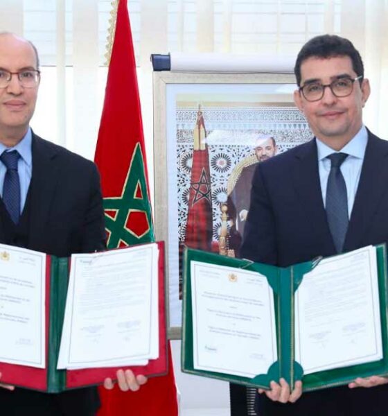 Registro simplificado de los productos derivados del cannabis en Marruecos