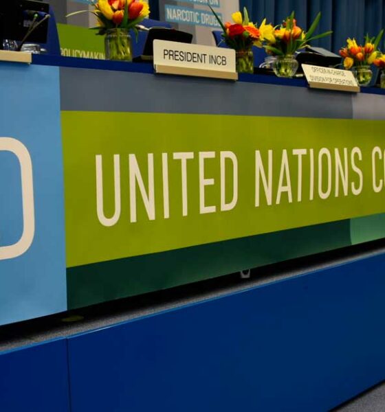 El panel de la CND en la ONU