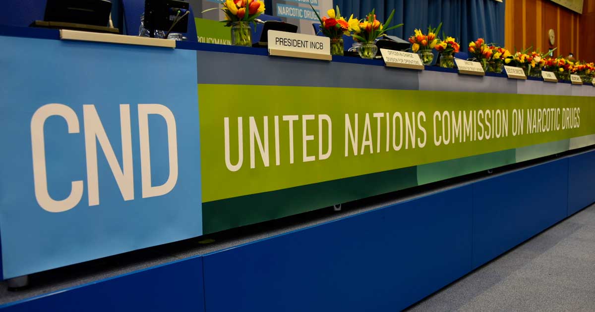 El panel de la CND en la ONU