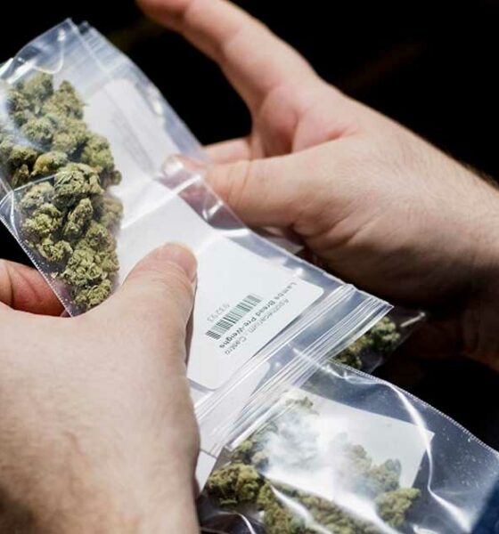 La policía alemana pide una mayor legalización del cannabis