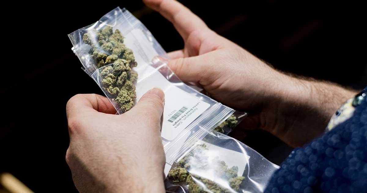 La policía alemana pide una mayor legalización del cannabis