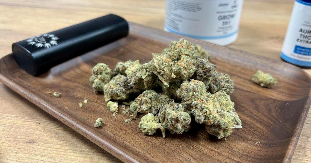 El programa de cannabis medicinal fracasa en Irlanda