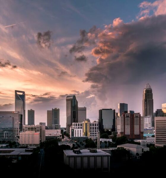 Planes para legalizar el cannabis en Carolina del Norte