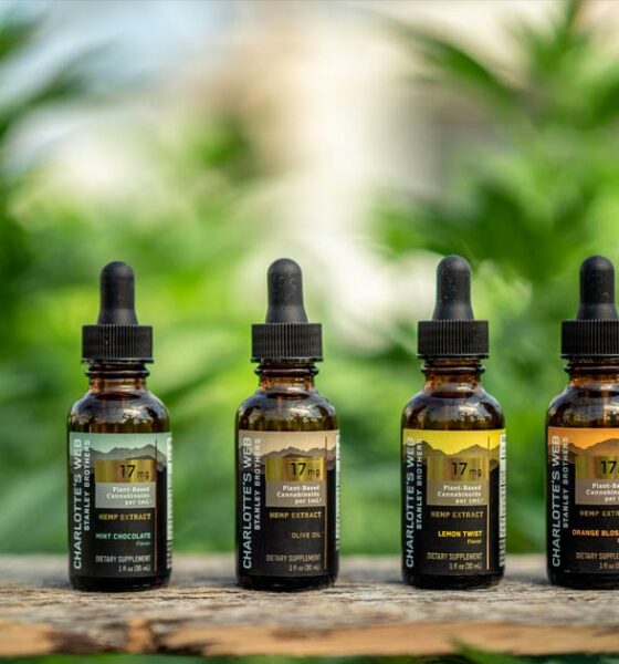 La telaraña de Carlota y British American Tobacco