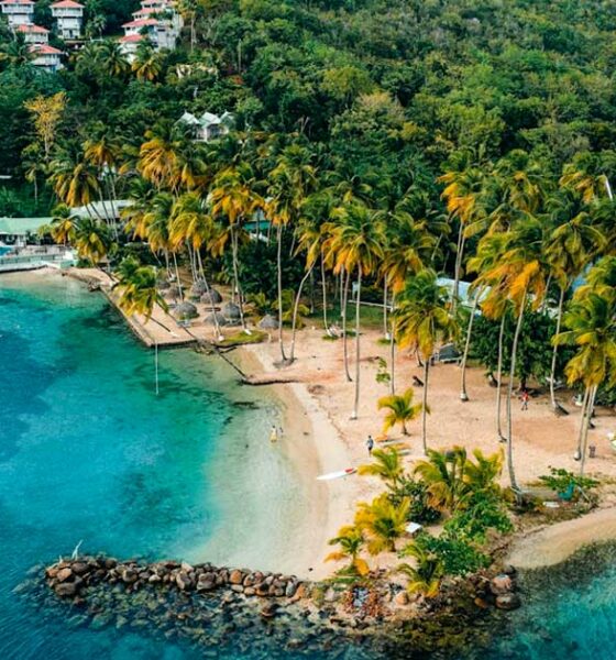 Reflexión sobre la legalización del cannabis en Sint-Maarten