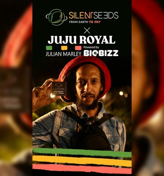 Variedades de Silent Seeds y Julian Marley