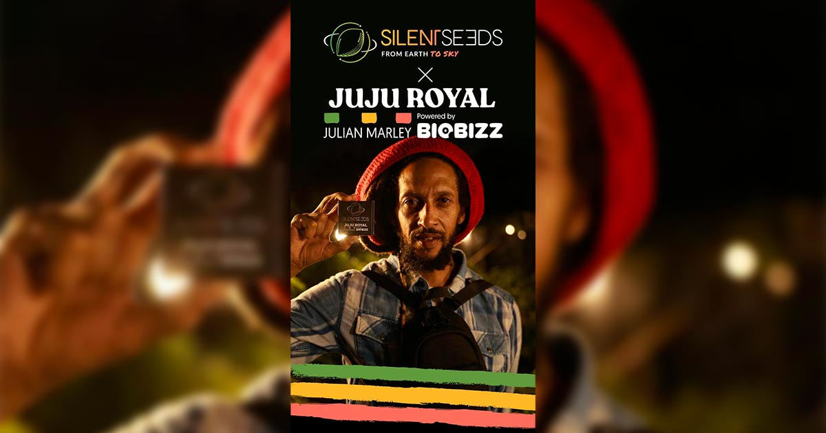 Variedades de Silent Seeds y Julian Marley