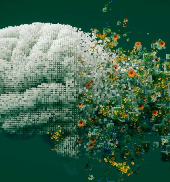 Cannabis y memoria