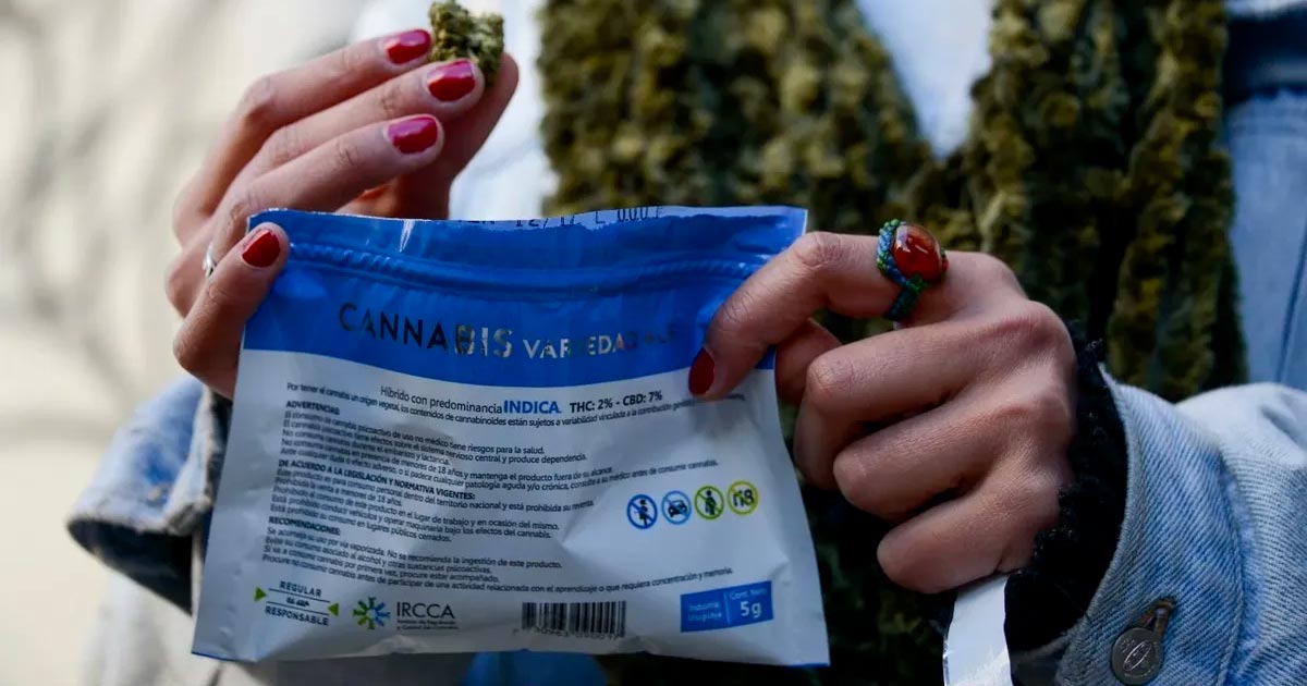 Mercado gris del cannabis en Uruguay