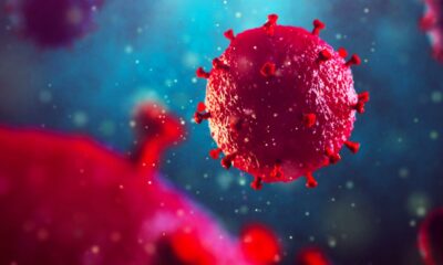 El CBD podría prevenir la infección por VIH