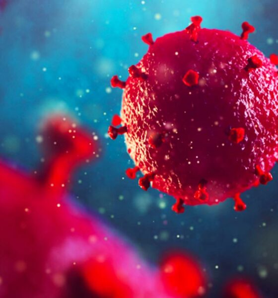 El CBD podría prevenir la infección por VIH