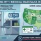 Consumir cannabis en un avión en Estados Unidos