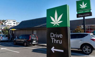 Autocine de cannabis