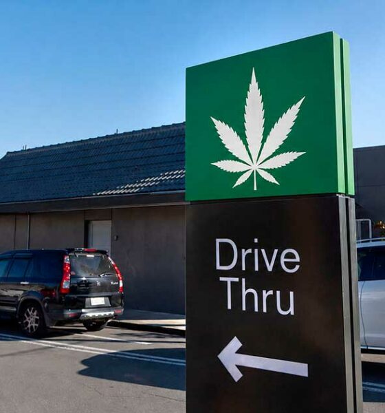 Autocine de cannabis
