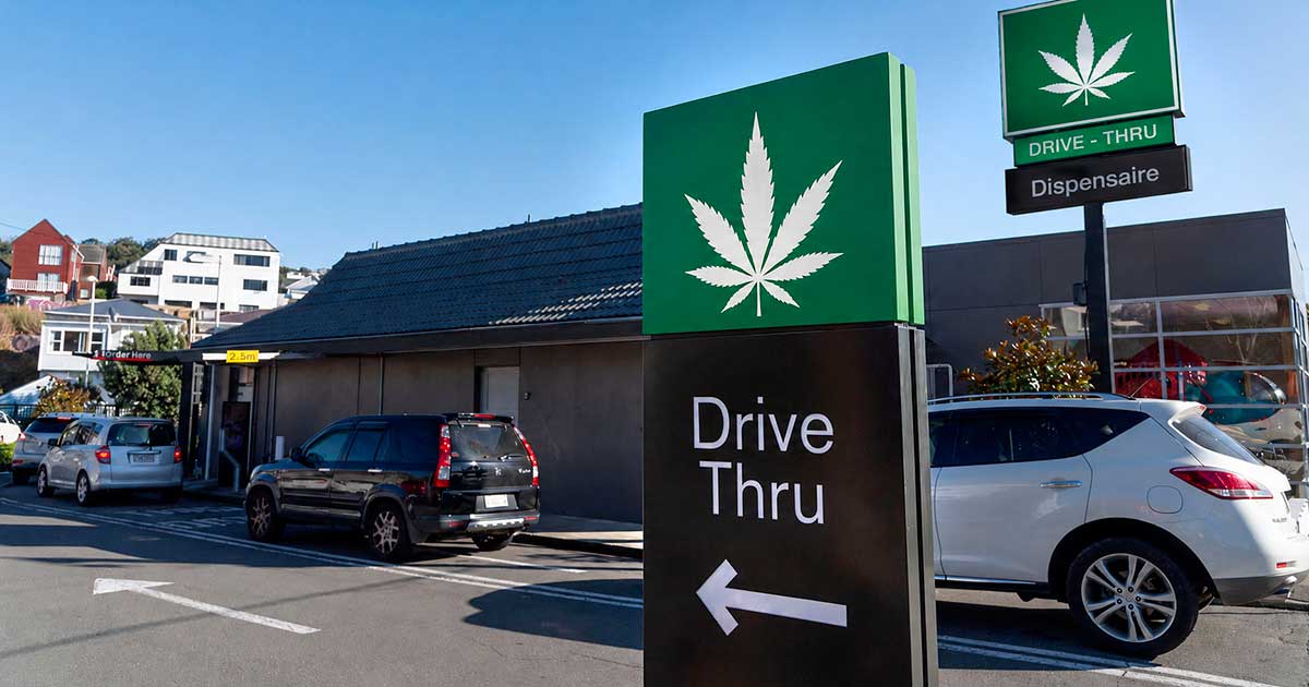 Autocine de cannabis