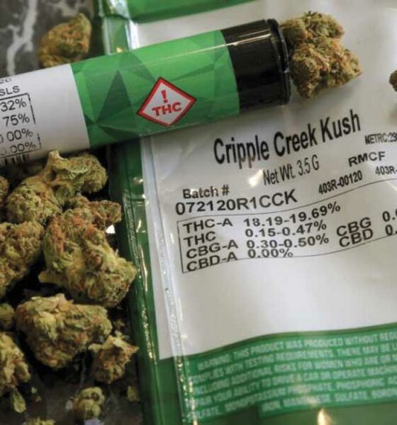 Cannabis medicinal para enfermos terminales en Luisiana