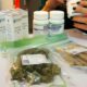 Cannabis medicinal fumado en Israel