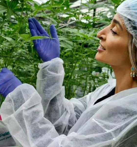 Turbo Cannabis en Israel