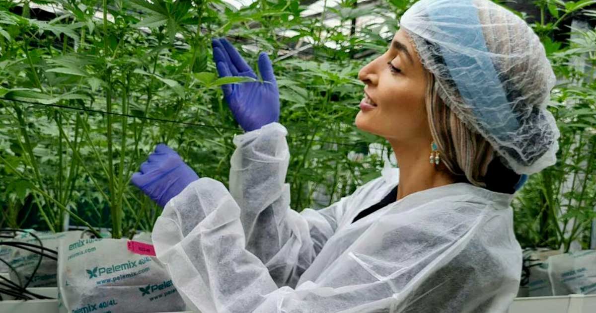 Turbo Cannabis en Israel