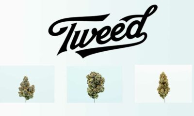 Tweed en Alemania