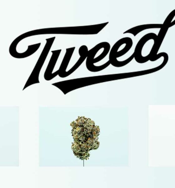 Tweed en Alemania