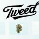Tweed en Alemania