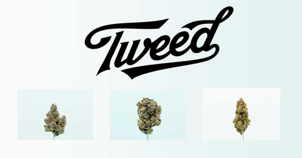 Tweed en Alemania