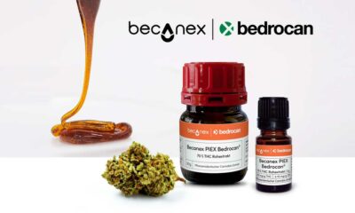 Concentrado de cannabis Bedrocan