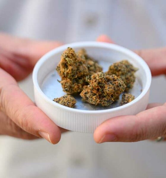 Importación de cannabis medicinal en Alemania