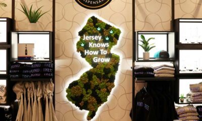 Dispensarios de cannabis en Nueva Jersey