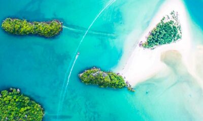 Hacia la despenalización del cannabis en las Islas Caimán