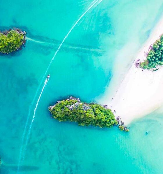 Hacia la despenalización del cannabis en las Islas Caimán
