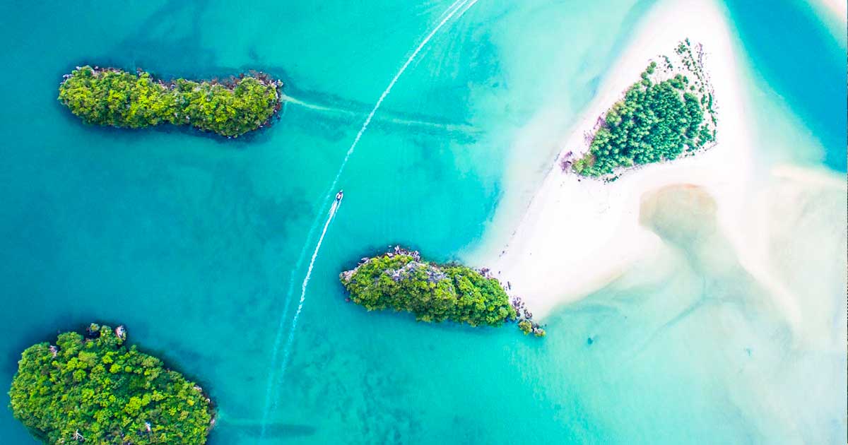 Hacia la despenalización del cannabis en las Islas Caimán