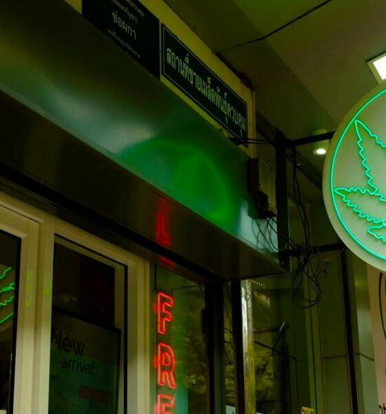 Nuevas normas más estrictas para los establecimientos de cannabis en Tailandia